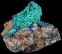 Azurite and Malachite on Fluorite and Barite - Morocco #57026-2